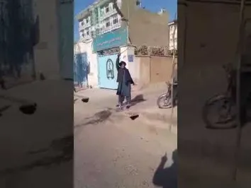باربری شهریار تهران